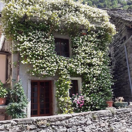 Tana Del Paradiso Baceno Exterior foto